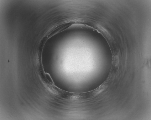 X0000073840158200608101238