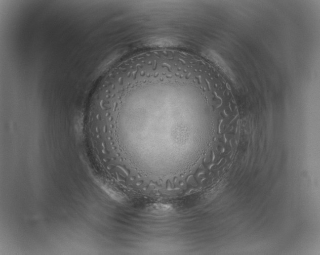 X0000073840159200608101238