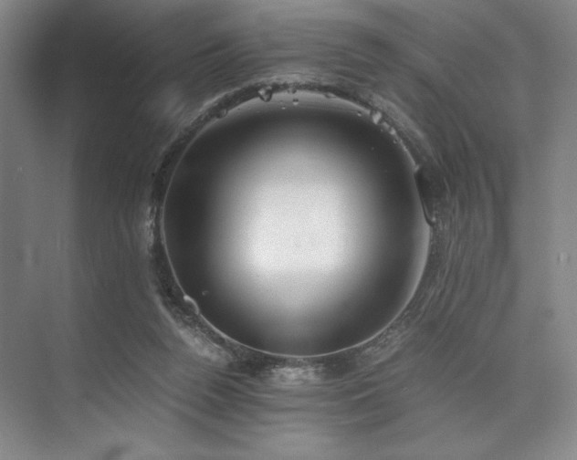 X0000073840160200608101239