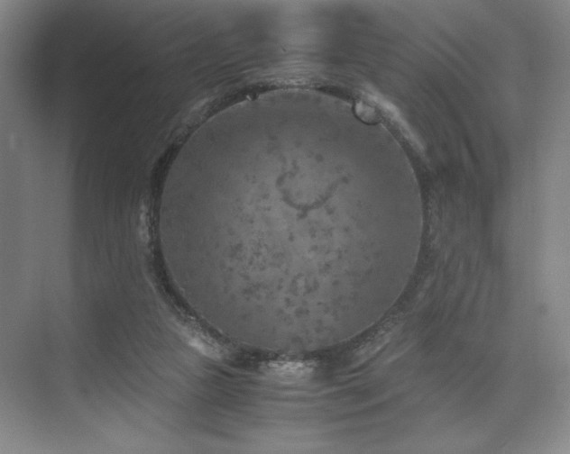 X0000073840161200608101239