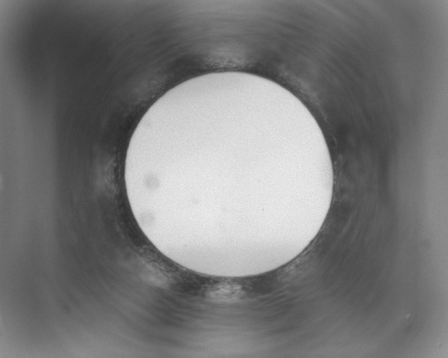 X0000073840162200608101239