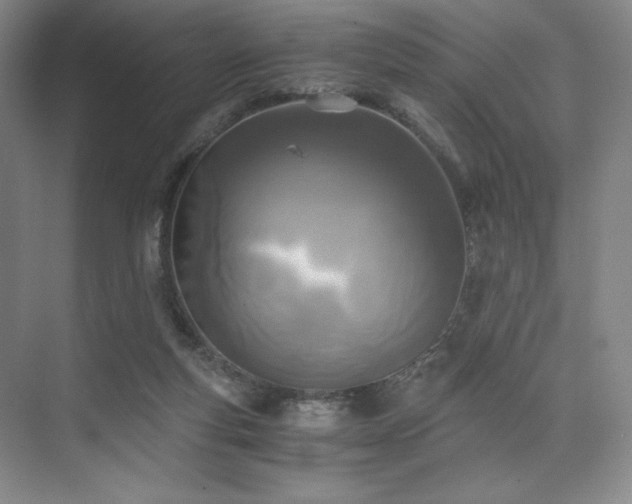 X0000073840163200608101239