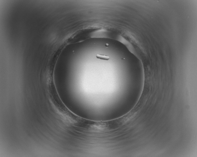 X0000073840164200608101239