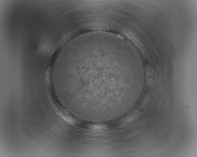 X0000073840165200608101239