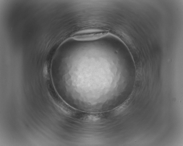 X0000073840166200608101239