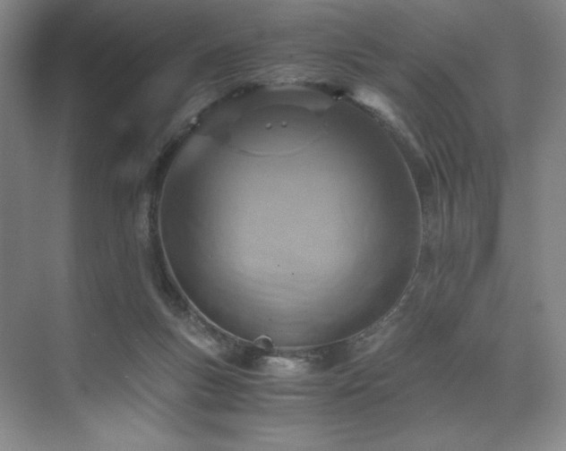 X0000073840167200608101239