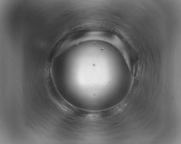 X0000073840168200608101239