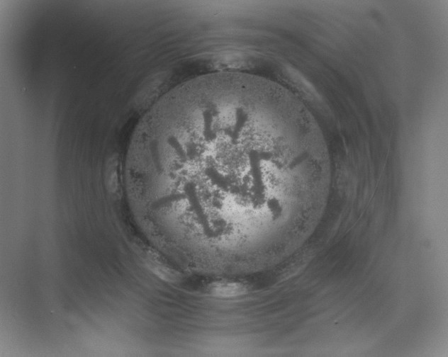 X0000073840169200608101239