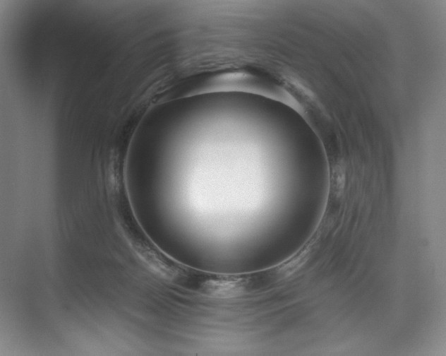 X0000073840170200608101239