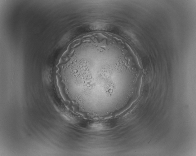 X0000073840171200608101239