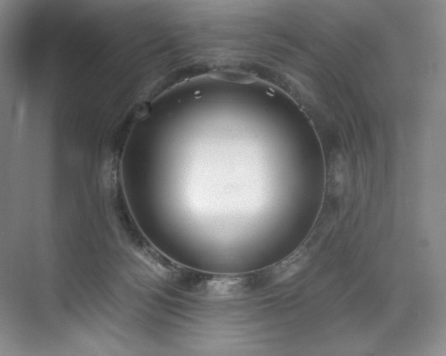 X0000073840172200608101239