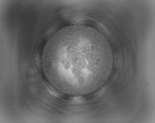 X0000073840173200608101239