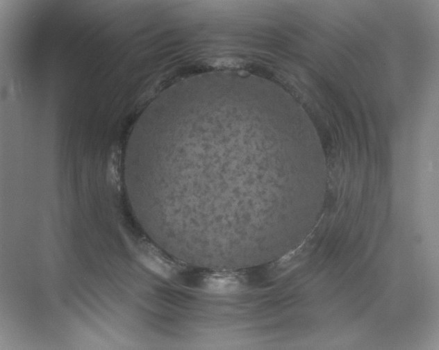 X0000073840175200608101239