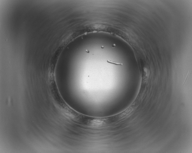 X0000073840176200608101239