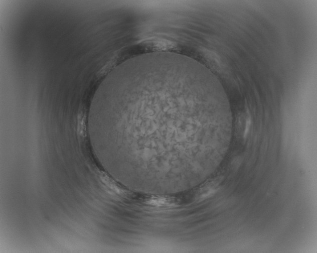 X0000073840177200608101239