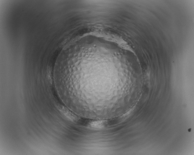 X0000073840178200608101239