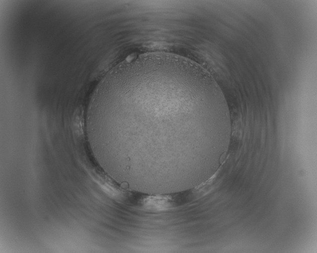 X0000073840179200608101239