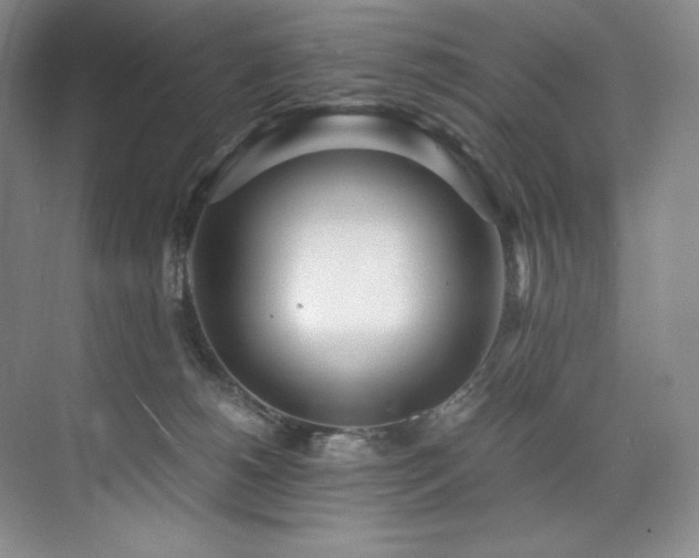 X0000073840180200608101239