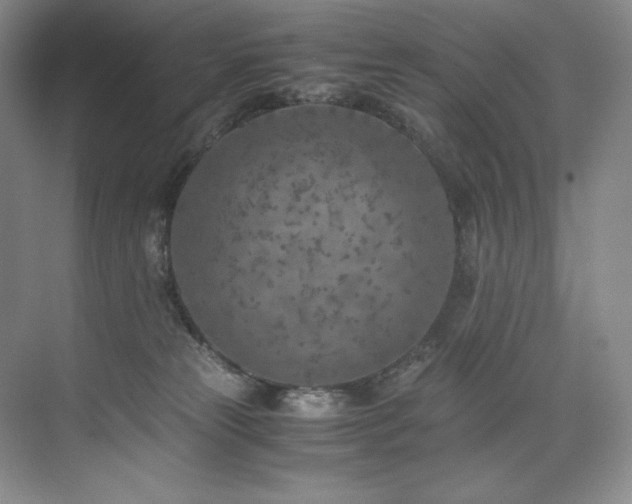 X0000073840181200608101239