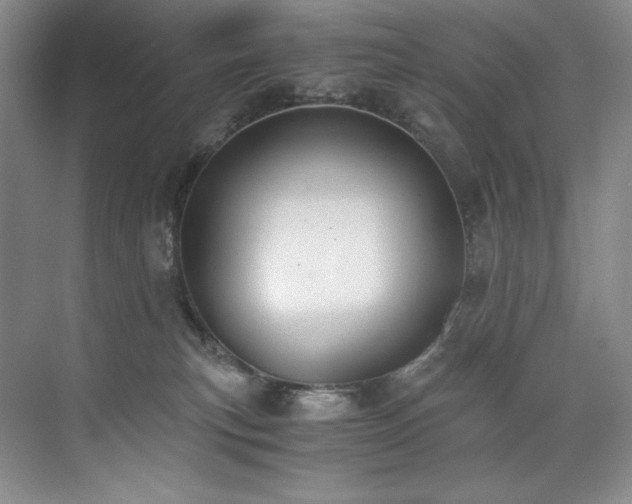 X0000073840183200608101239