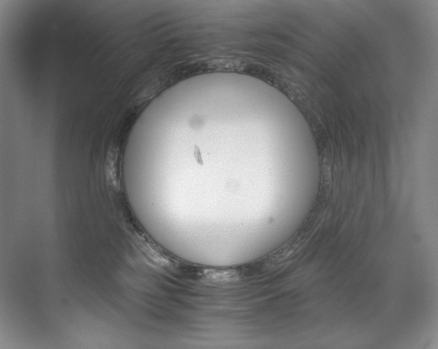 X0000073840185200608101239