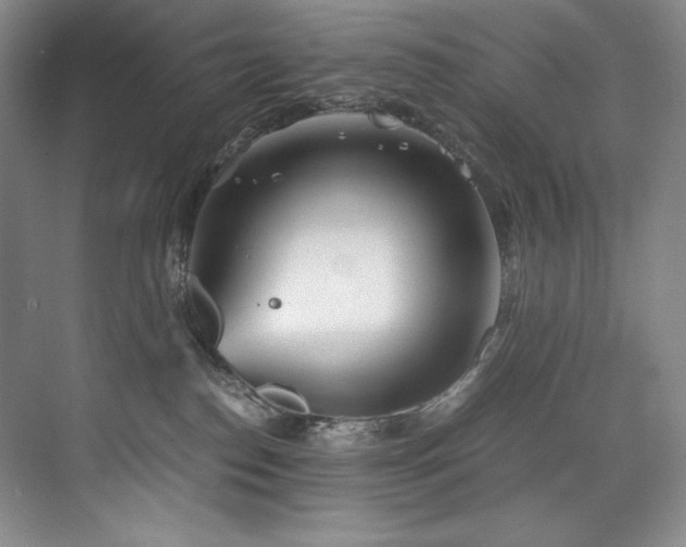 X0000073840186200608101239