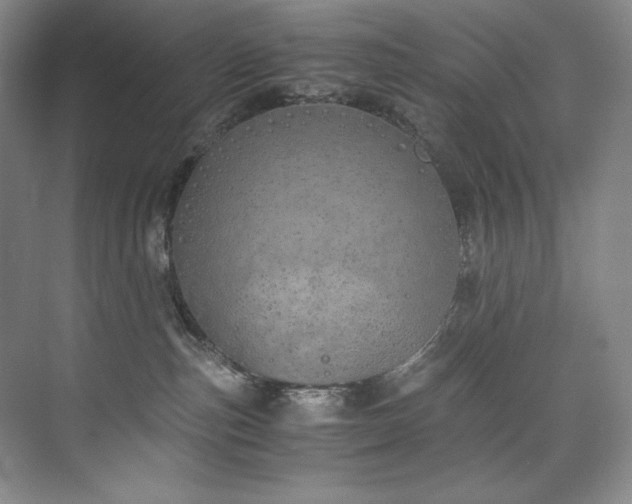 X0000073840187200608101239