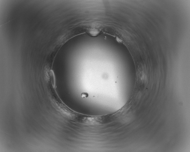 X0000073840188200608101239