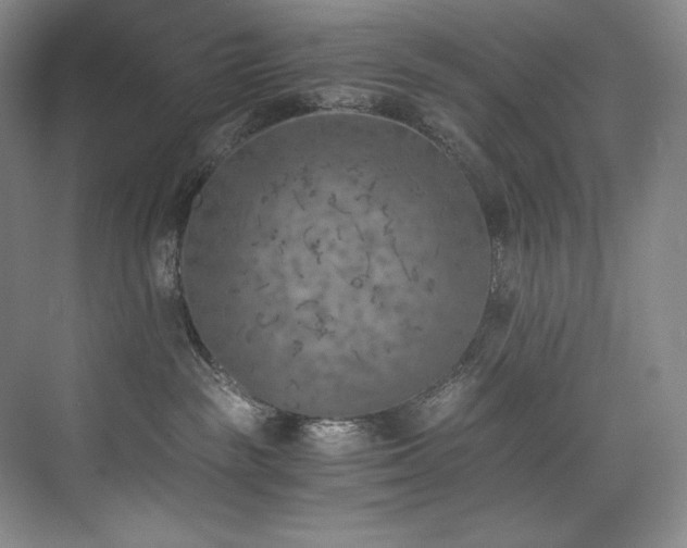 X0000073840189200608101239