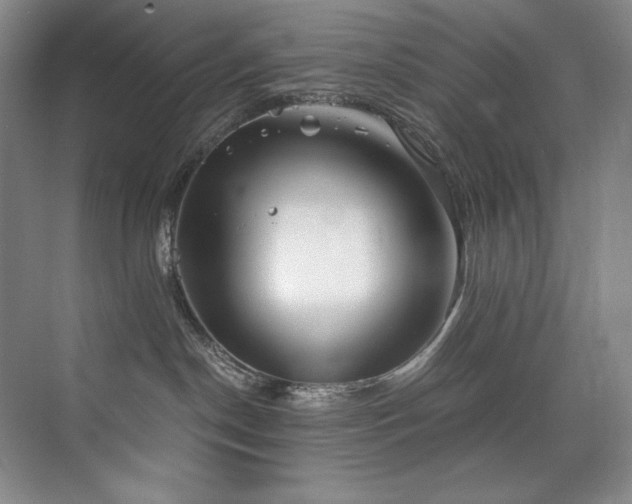 X0000073840190200608101239