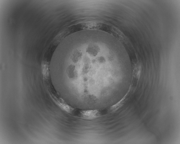 X0000073840191200608101239