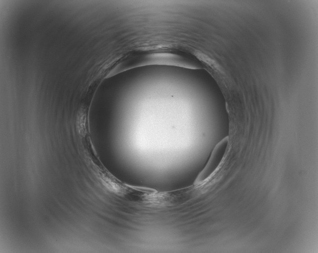 X0000073840192200608101239