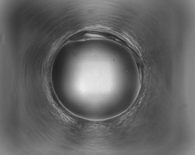 X0000073840193200608101238