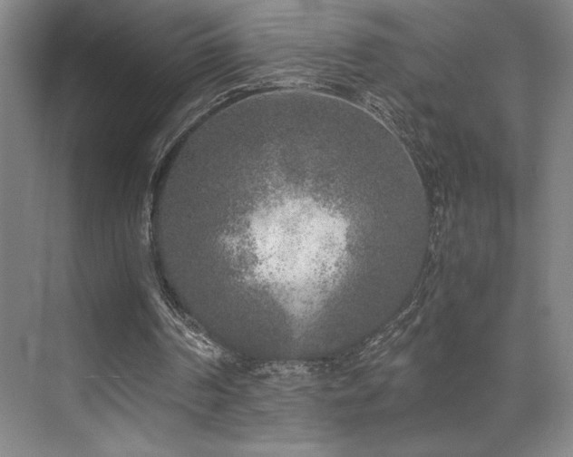 X0000073840194200608101238