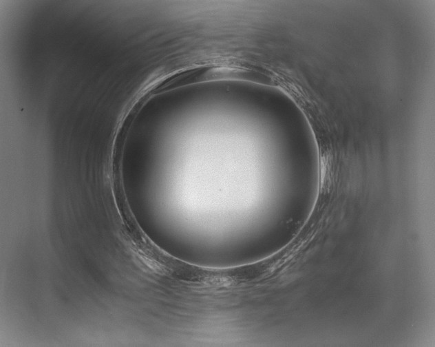 X0000073840195200608101238