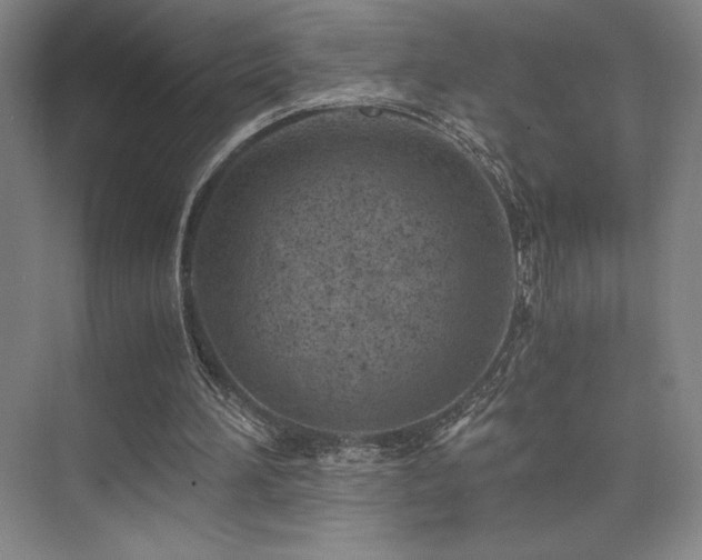 X0000073840196200608101238