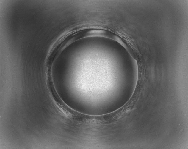 X0000073840197200608101238