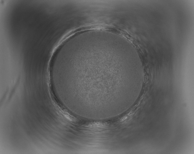 X0000073840198200608101238