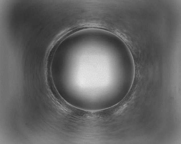 X0000073840199200608101238