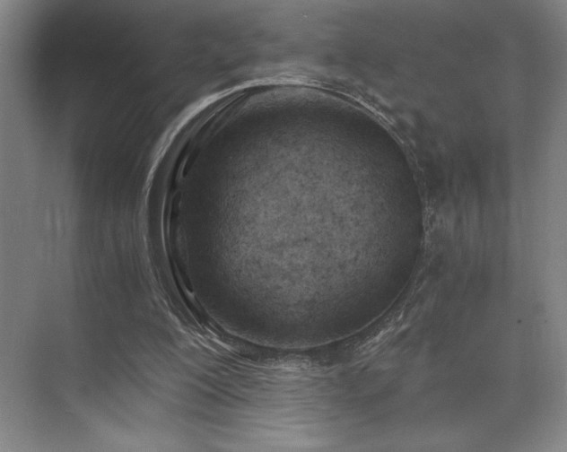 X0000073840200200608101238