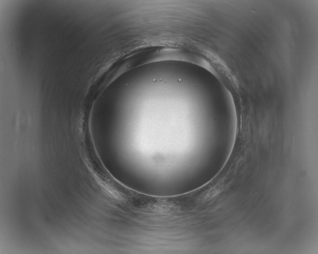 X0000073840201200608101238