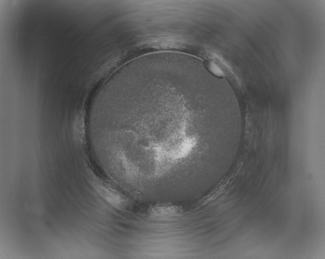 X0000073840202200608101238