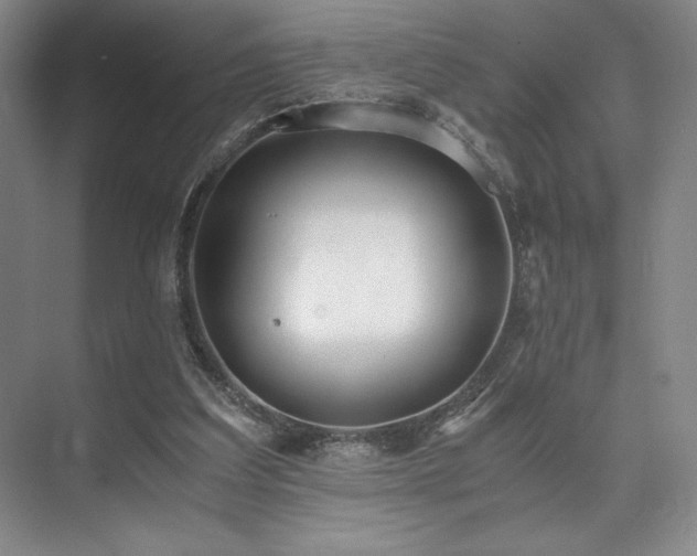 X0000073840203200608101238