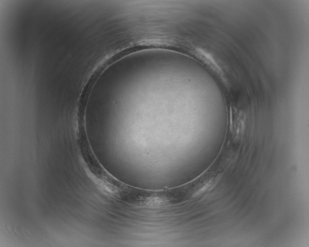 X0000073840204200608101238