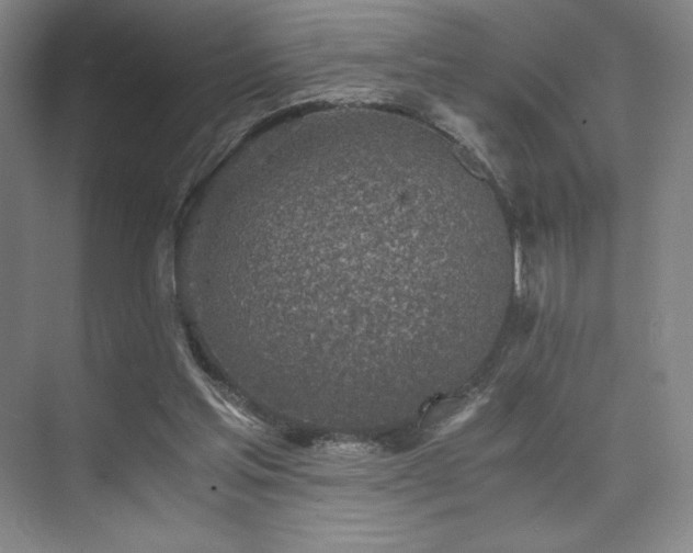 X0000073840205200608101238