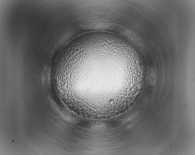 X0000073840206200608101238