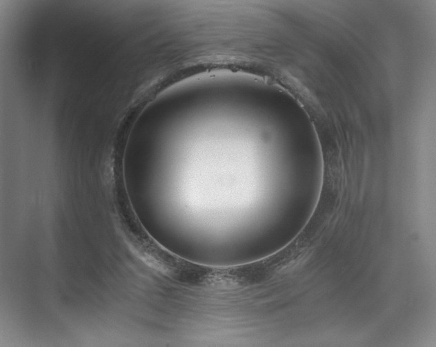 X0000073840207200608101238