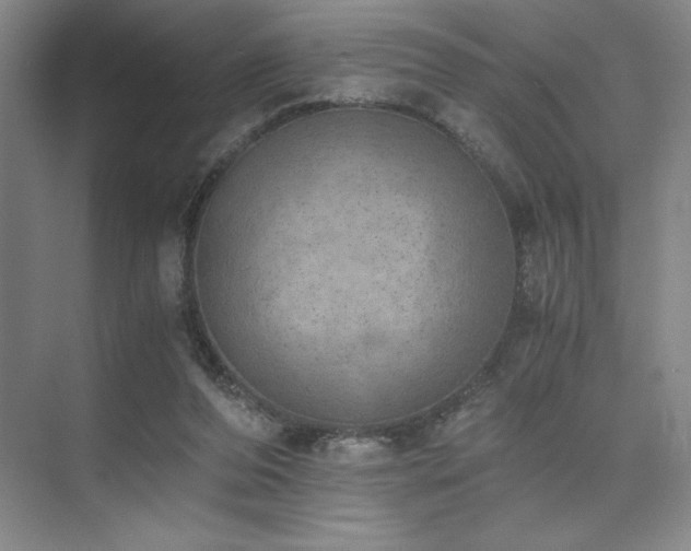 X0000073840208200608101238