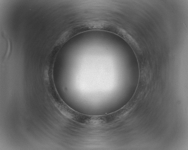 X0000073840209200608101238