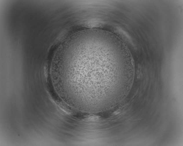 X0000073840210200608101238